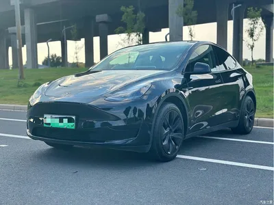 2023 Tesla Model Y Rear-Wheel Drive Edition, фото 1, лот 10452236