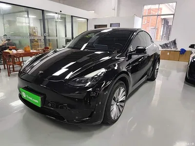 2023 Tesla Model Y Rear-Wheel Drive Edition, фото 2, лот 10369690