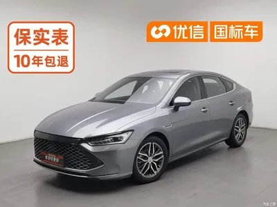 2021 BYD Qin PLUS DM-i 55KM Flagship, фото 1, лот 11193216