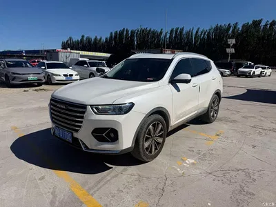 2021 Haval H6 Model 1.5T Automatic Champion Edition, фото 1, лот 10297538