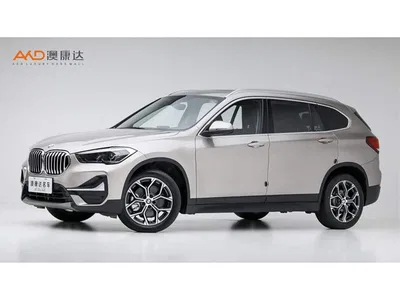 2021 BMW X1 sDrive25Li Leading, фото 1, лот 11002587