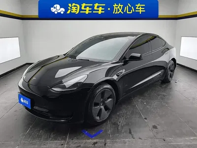 2022 Tesla Model 3 Model Rear-Wheel Drive Version, фото 1, лот 11217335