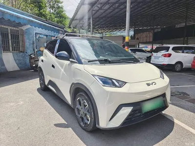 2024 BYD Seagull Glory Edition 305km Freedom Edition, фото 4, лот 10262792