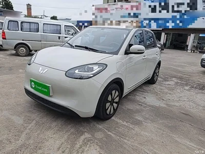 2023 Wuling Motors Wuling Bingo 333km Joyful Version, фото 2, лот 10368072