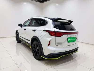 2021 Haval Chitu Boost Edition 1.5T Platinum Rabbit, фото 4, лот 10827265