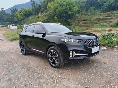 2021 WEY VV6 2.0T 2WD Smart Protection+, фото 3, лот 11313069