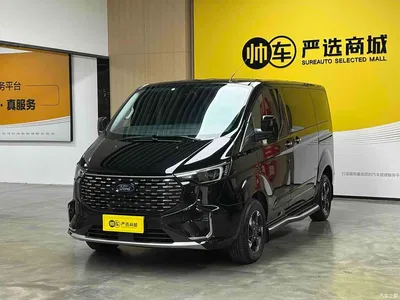2023 Ford Tourneo 2.0T Automatic Premium Edition, фото 1, лот 11571449