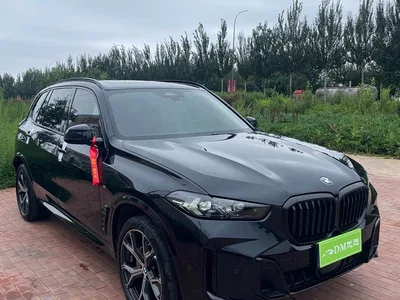 2025 BMW X5 Model xDrive 30Li Exclusive M Sport Blackout Package, фото 1, лот 10463165