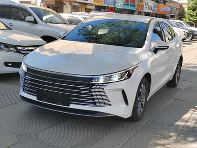 2024 BYD Destroyer 05 Glory Edition DM-i 55KM Luxury, фото 2, лот 10249743