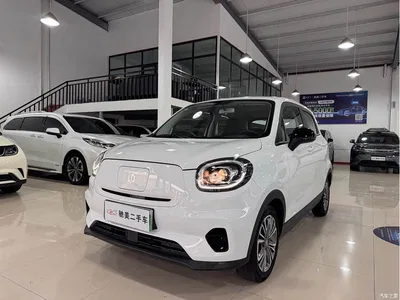 2021 Leapmotor T03 400 Comfort Edition, фото 1, лот 10441697