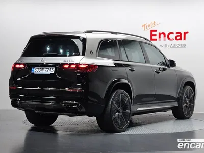 2024 Mercedes-Benz GLS-Class Maybach GLS600 4MATIC Manufakur, фото 2, лот 10068430