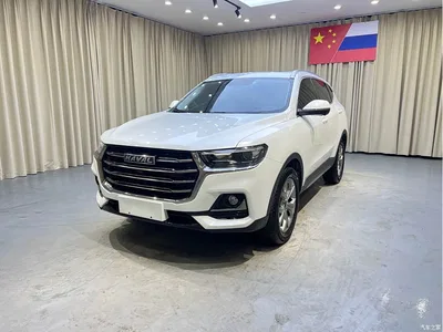 2021 Haval H6 Model National Trend Edition 1.5T Auto Champion, фото 1, лот 10283409