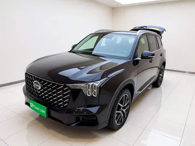 2022 GAC Trumpchi Trumpchi GS8 Pilot Series 2.0TGDI 2WD Luxury Smart Connect Edition (7-Seater), фото 1, лот 11184764