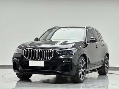 2019 BMW X5 (Import) xDrive40i Exclusive M Sport Package, фото 1, лот 10479318