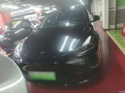 2022 Tesla Model Y Facelift Rear-Wheel Drive Version, фото 3, лот 10370321