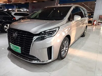2023 Buick GL8 ES Landmaster Exclusive, фото 2, лот 10516328