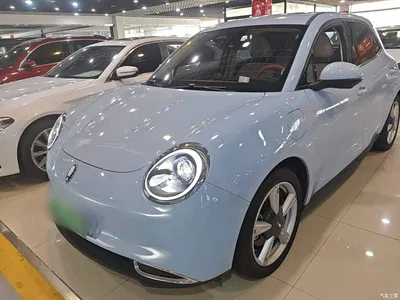 2023 Ora Good Cat 401km Standard Range Honor Edition (LFP), фото 2, лот 11140595