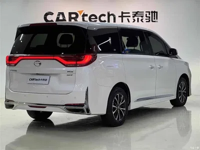 2021 GAC Trumpchi Trumpchi M8 Leading Show Series 390T Premium Edition, фото 4, лот 10420086