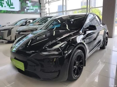 2023 Tesla Model Y Long Range All-Wheel Drive Edition, фото 1, лот 10369710
