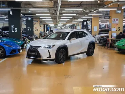 2025 Lexus UX 300h 2.0 2WD, фото 1, лот 10184648