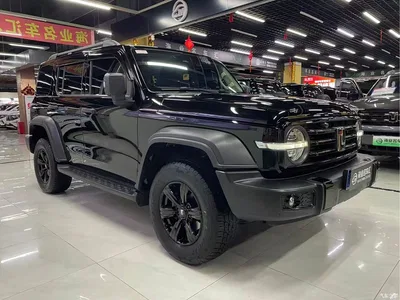2021 Tank 300 Off-road Version 2.0T Conqueror, фото 3, лот 10394779