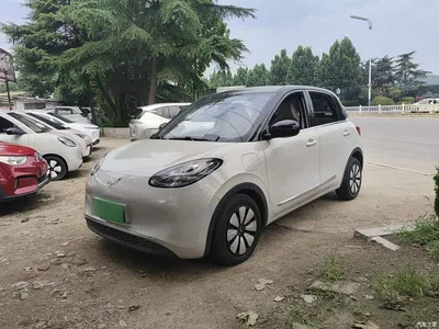2023 Wuling Motors Wuling Bingo 333km Joyful Version, фото 1, лот 10371159