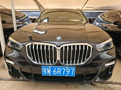 2022 BMW X5 xDrive 30Li Premium M Sport Package, фото 2, лот 10829357