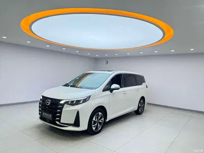 2021 GAC Trumpchi Trumpchi M6 PRO 270T Automatic Premium Edition, фото 1, лот 10400584