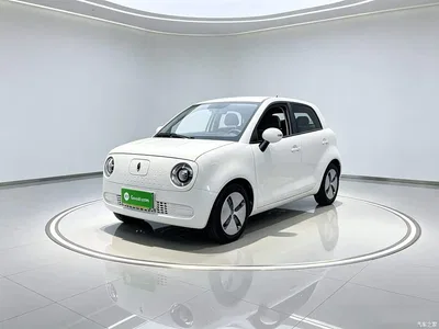 2021 Ora Black Cat 301km Pet Edition, фото 2, лот 11502038