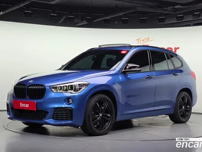 2017 BMW X1 xDrive 20d M Sport package, фото 1, лот 10214497