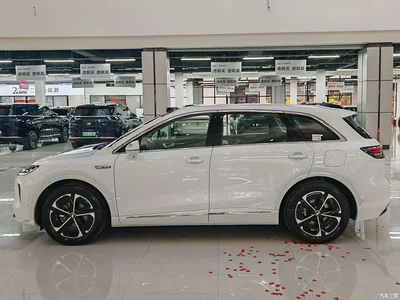2025 Shangjie SUV Extended Range Edition, фото 4, лот 11646317