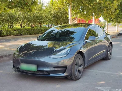 2019 Tesla Model 3 Standard Range Rear-Wheel Drive Upgrade, фото 2, лот 11567754
