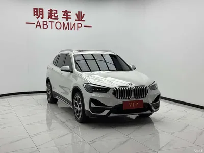 2022 BMW X1 sDrive20Li Fashion, фото 3, лот 10408616