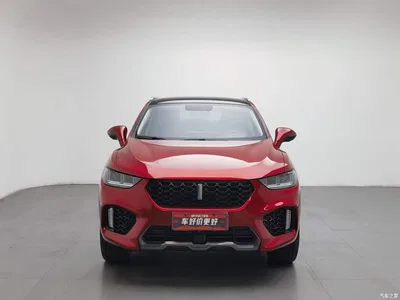 2019 WEY VV5 Upgrade 2.0T 2WD Ultra Luxury China V, фото 3, лот 10394149