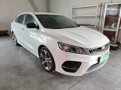 2019 Geely Binrui 200T DCT Binzhi Edition, фото 4, лот 10310270