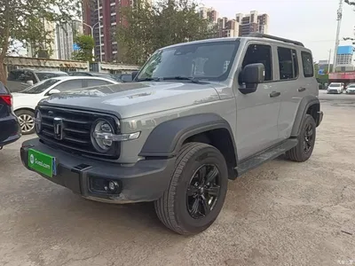 2024 Tank 300 Model 2.0T Challenger, фото 1, лот 10620096