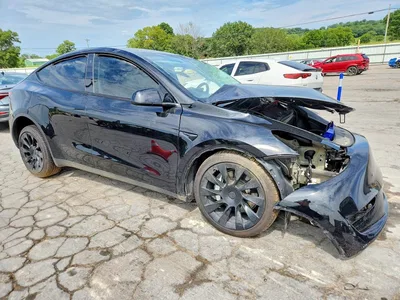 2023 TESLA MODEL Y, фото 4, лот 10852473