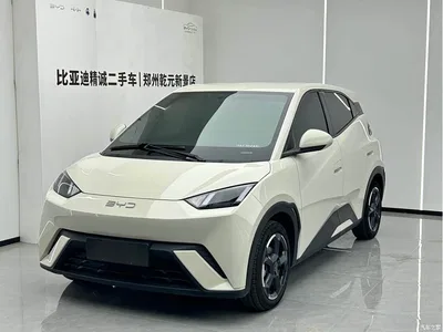 2024 BYD Seagull Glory Edition 305km Freedom Edition, фото 1, лот 10626271