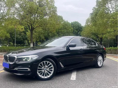2020 BMW 5 Series 525Li Luxury Package, фото 1, лот 10671241