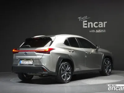 2019 Lexus UX 250h 2.0 AWD, фото 1, лот 11255049
