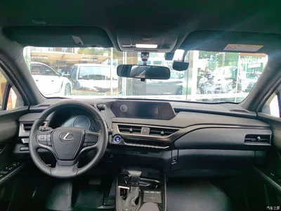 2020 Lexus UX 260h Explore Cool Edition, фото 3, лот 10931113