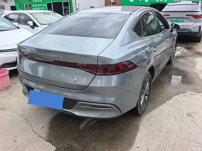 2021 BYD Qin PLUS EV 420KM Travel Edition, фото 4, лот 10363433