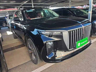 2021 Hongqi E-HS9 460km Flagship Comfort 6-seater, фото 4, лот 10415959