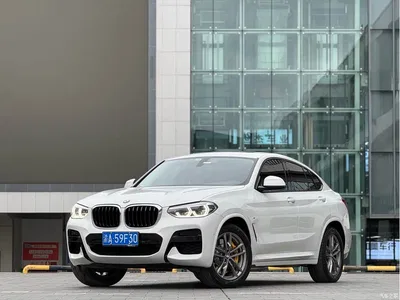 2020 BMW X4 xDrive25i M Sport Package, фото 1, лот 10476790
