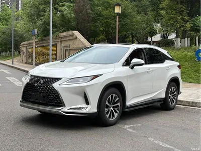 2020 Lexus RX 300 2WD Elite Edition China VI, фото 1, лот 10312664