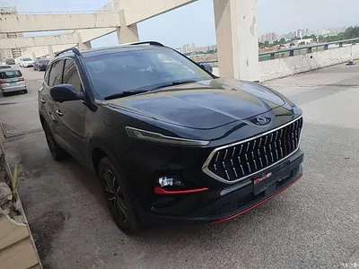 2021 Sehol X7 1.5T Premium, фото 4, лот 11153480