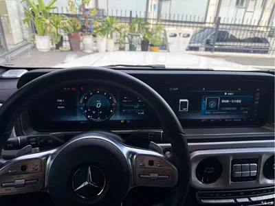 2019 Mercedes-Benz G-Class, фото 3, лот 11567717