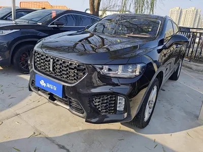 2021 WEY VV5 1.5T 2WD Style Pioneer, фото 1, лот 10689513