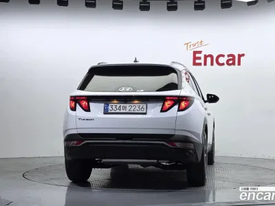 2023 Hyundai Tucson Gasoline 1.6 turbo 2WD, фото 4, лот 10228439