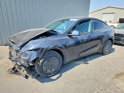 2026 TESLA MODEL Y, фото 1, лот 10856013